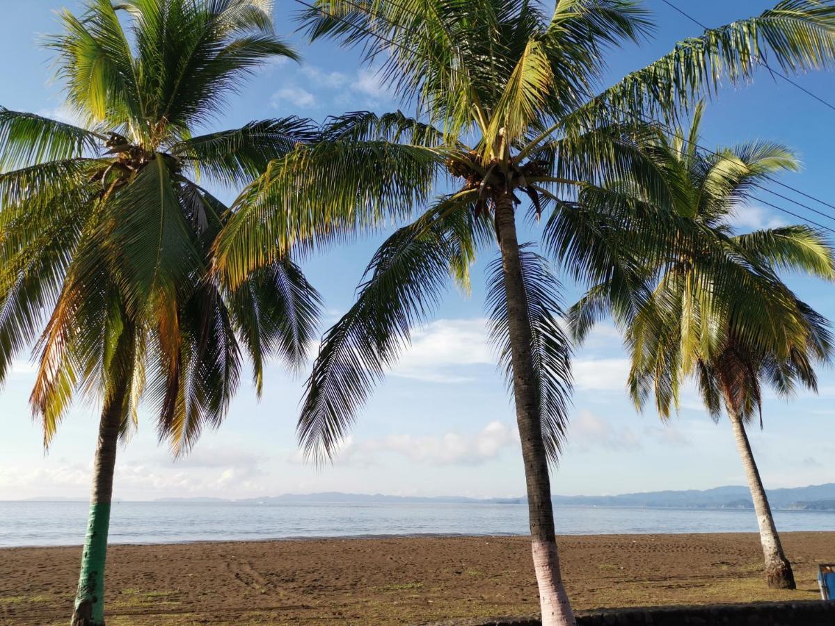 Puntarenas Bed & Coffee By Aldea Hotell Eksteriør bilde